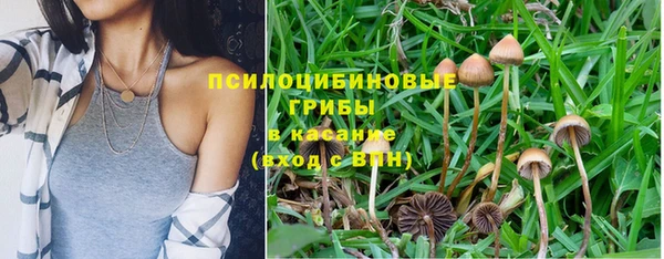 соль курить ск Нея
