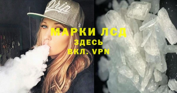стаф Надым