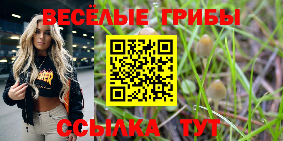 Галлюциногенные грибы MAGIC MUSHROOMS  Вход с VPN  Кувандык  Галлюциногенные грибы Psilocybine cubensis 
