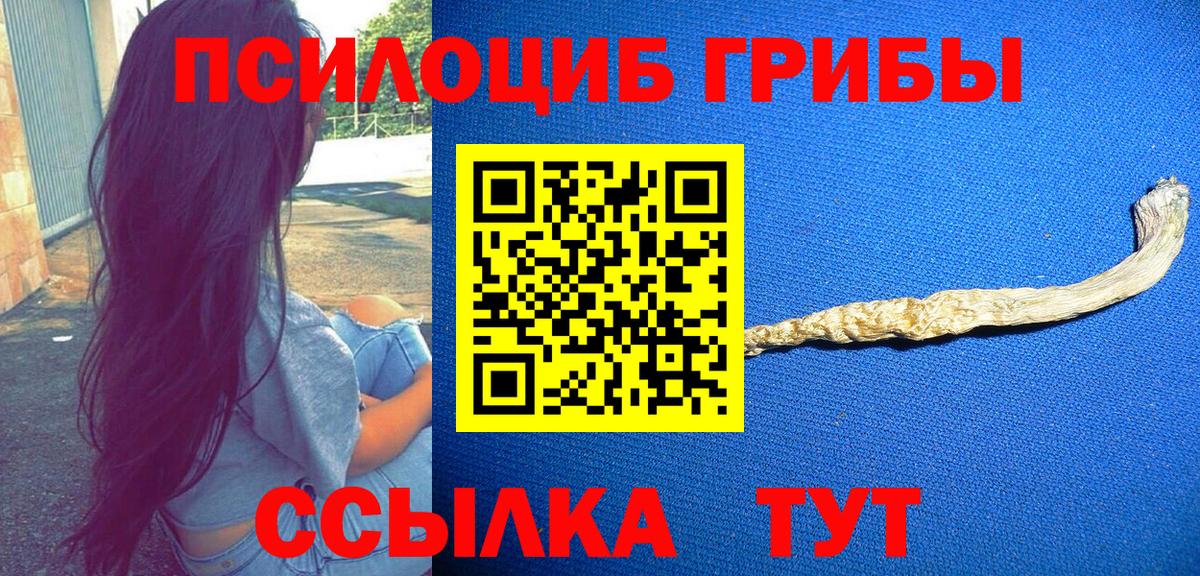 Псилоцибиновые грибы прущие грибы Кувандык